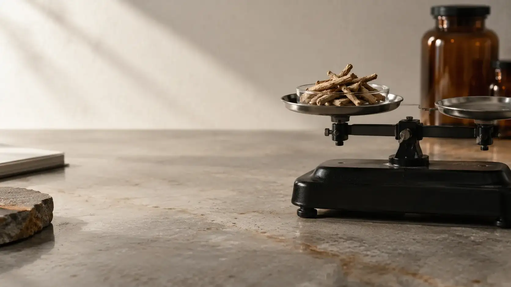 A laboratory balance on a pale stone bench with a small dish of cut dried ashwagandha root on one pan in cold daylight.