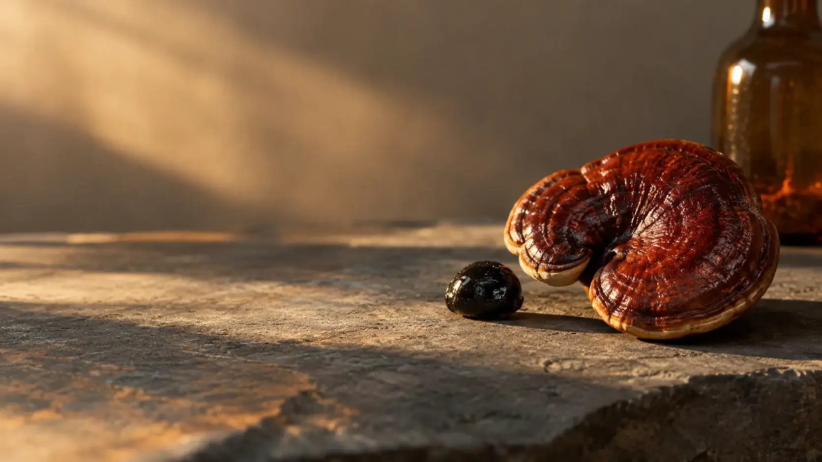 A single dried red reishi bracket with a glossy lacquered cap resting on grey slate beside one dark bead of resin in late evening light.