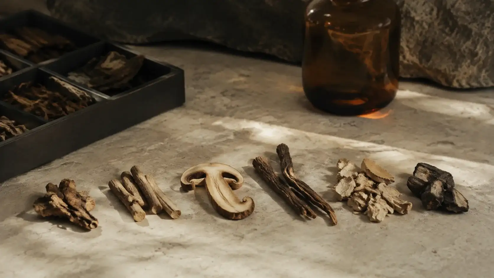 Dried roots, bark and a single sliced mushroom laid out in an ordered row on pale stone in daylight.