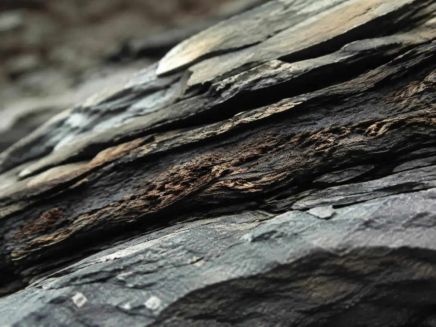 Thin organic layers held between centuries-old mineral strata.